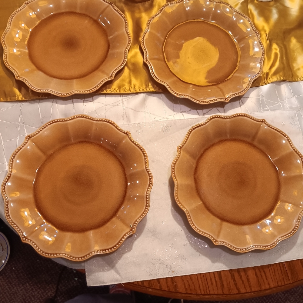 The pioneer  women Amber Crakle Dinner Plates